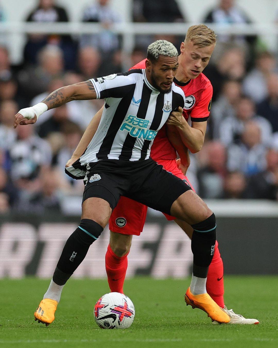 绿茵场上的 绿茵场上的